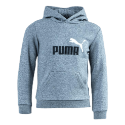 Puma ESS 2 Col Hoody Grey