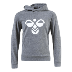 Hummel Jr Cuarto Hoodie Grey