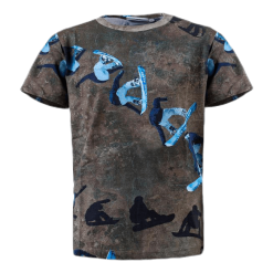 Molo Raymont Snowboard Green