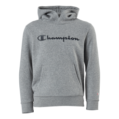 Champion Hooded Sweatshirt Gray Melange Light