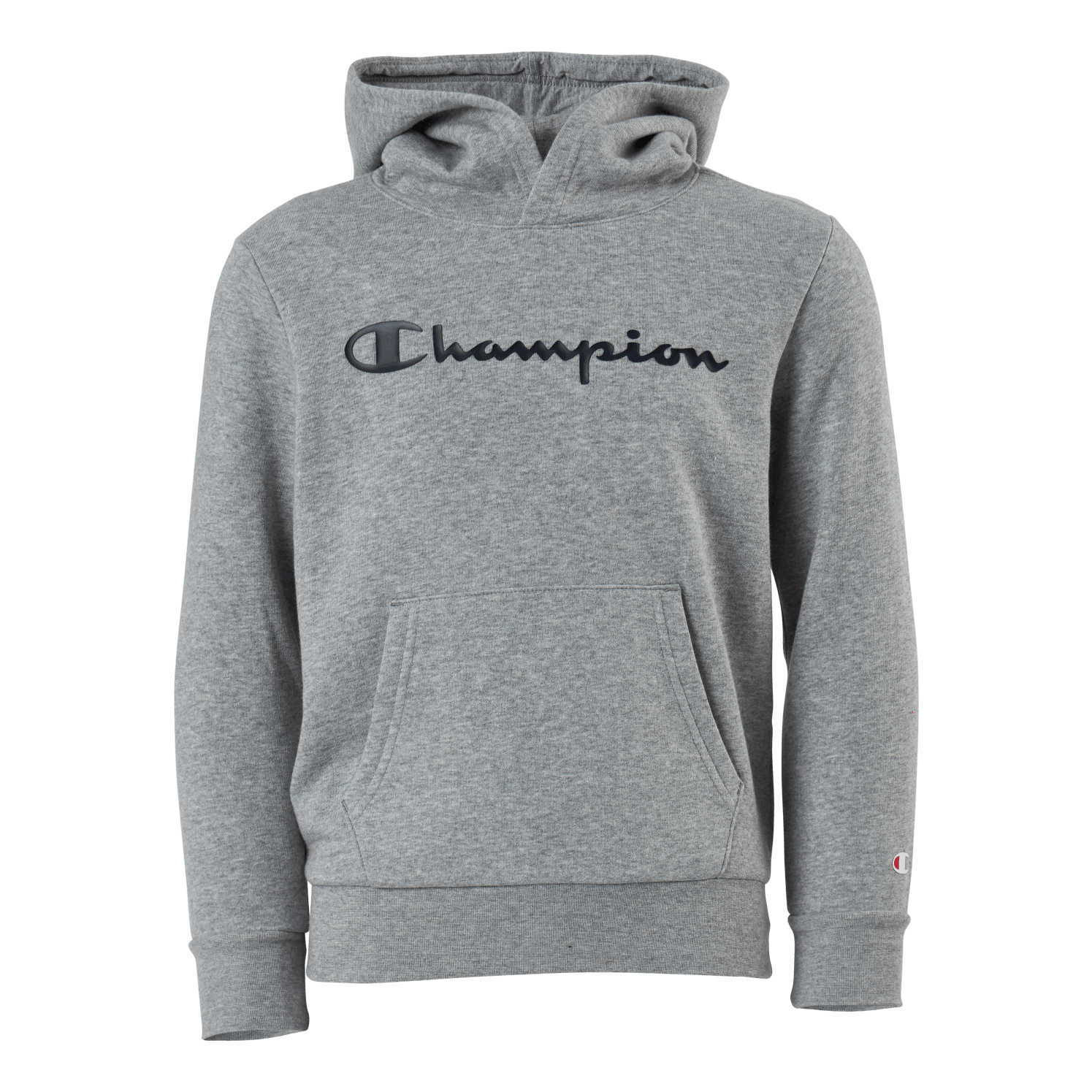Champion Hooded Sweatshirt Gray Melange Light