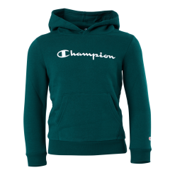 Champion Hooded Sweatshirt Rain Forest