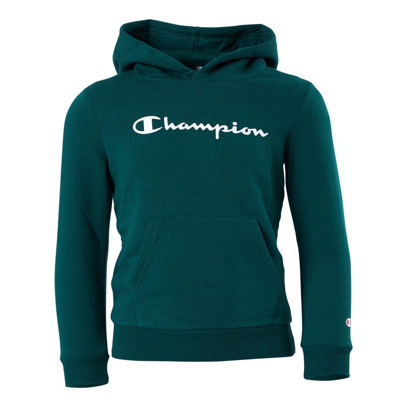 Champion Hooded Sweatshirt Rain Forest