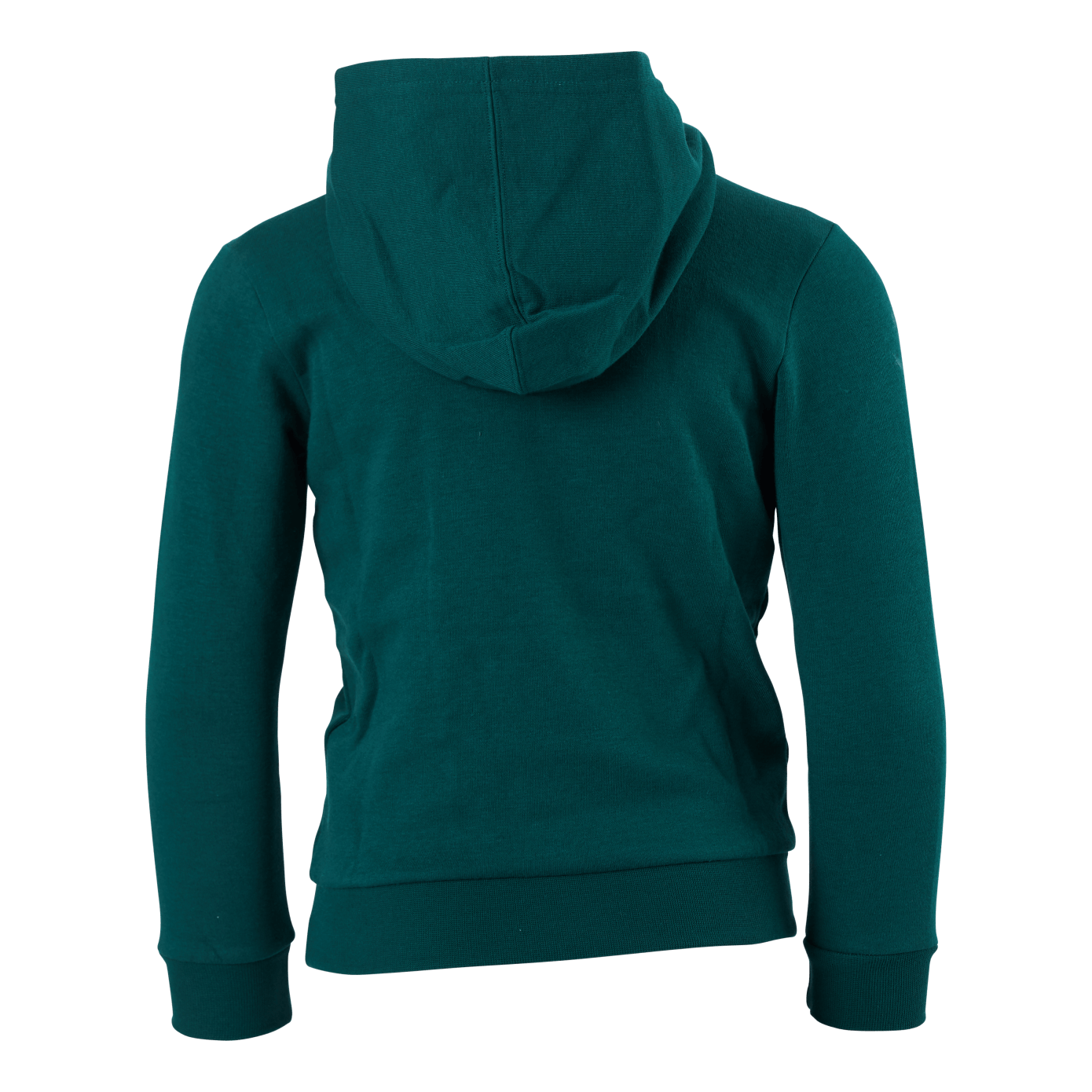 Champion Hooded Sweatshirt Rain Forest - Image 3