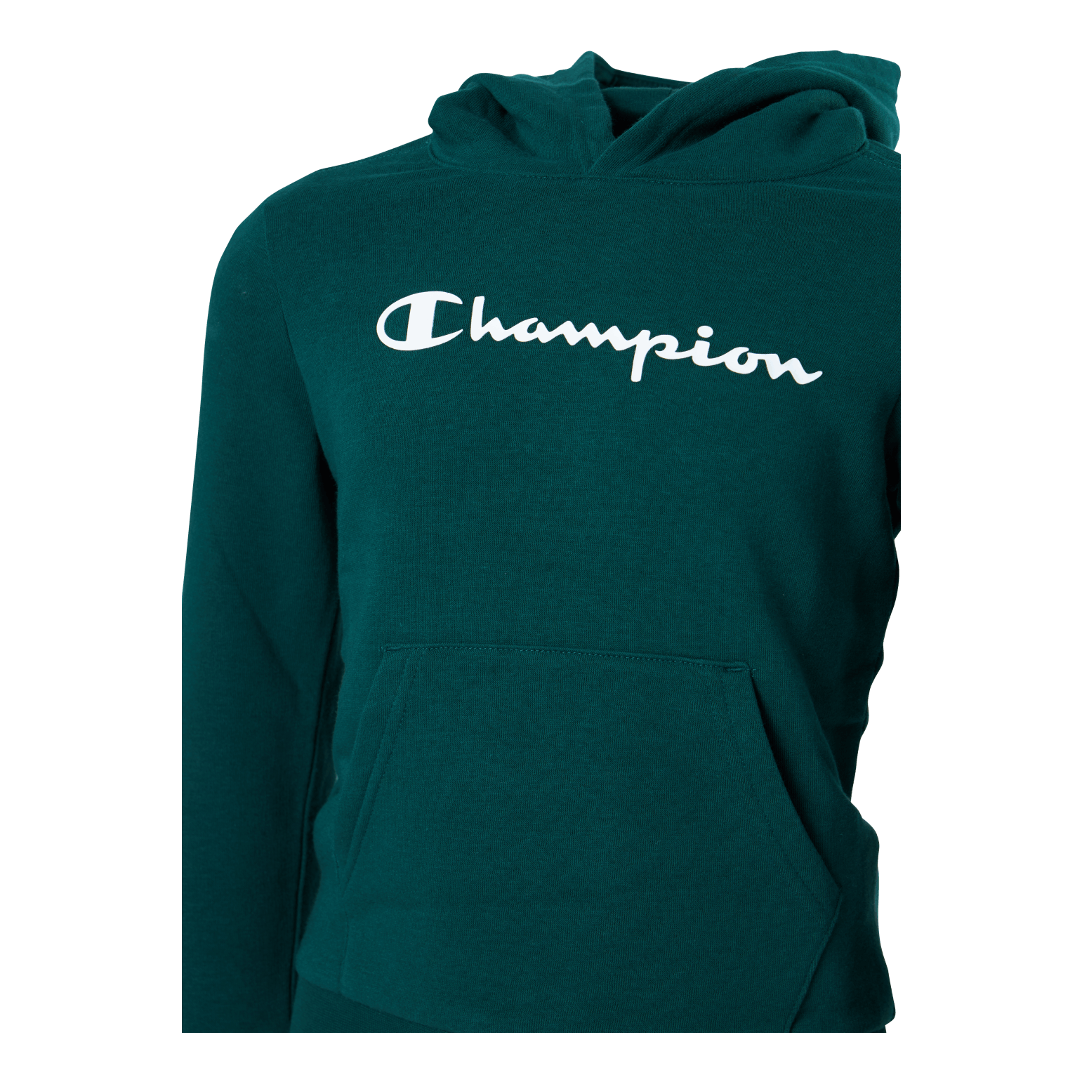 Champion Hooded Sweatshirt Rain Forest - Image 4
