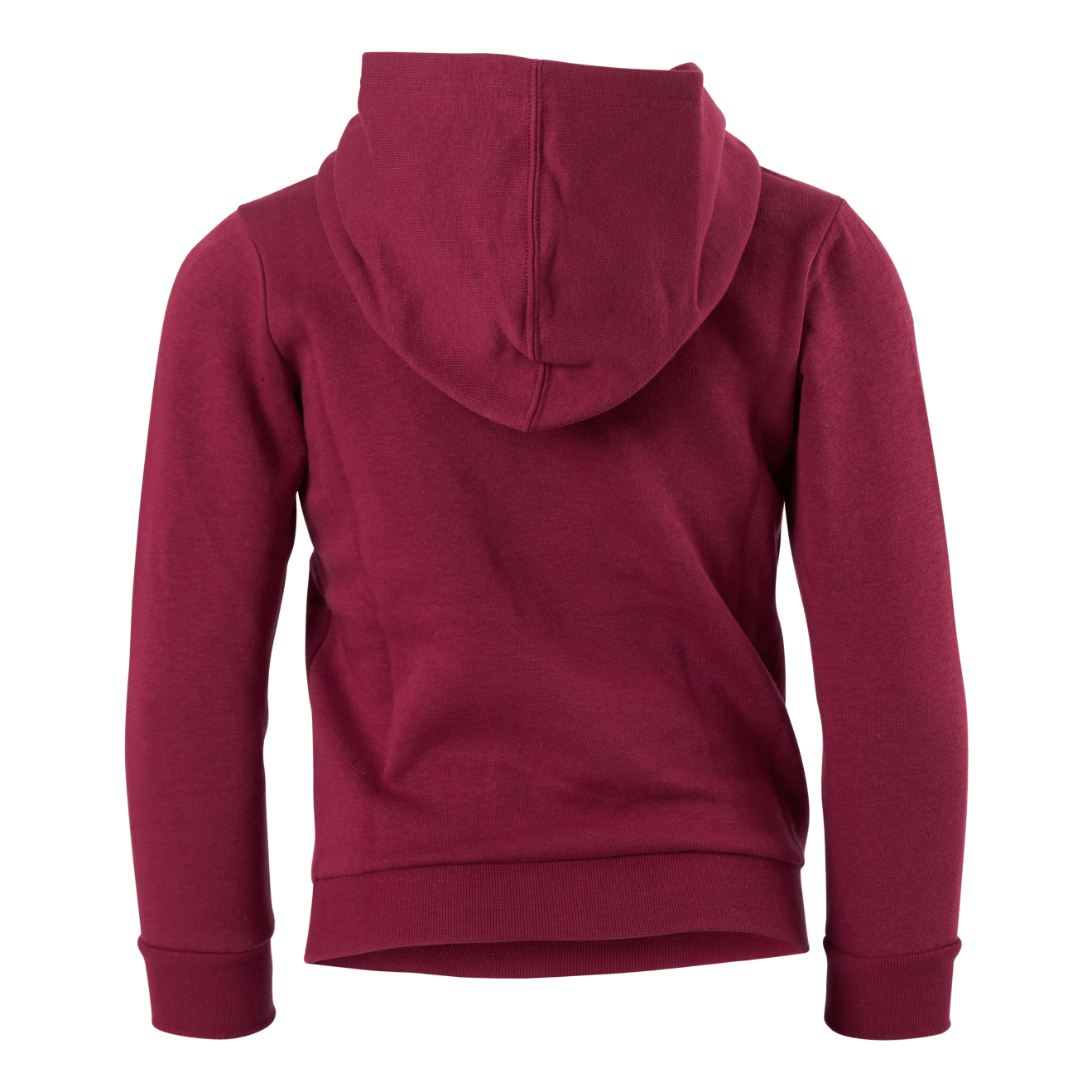 Champion Hooded Sweatshirt Rhododendrow - Image 3