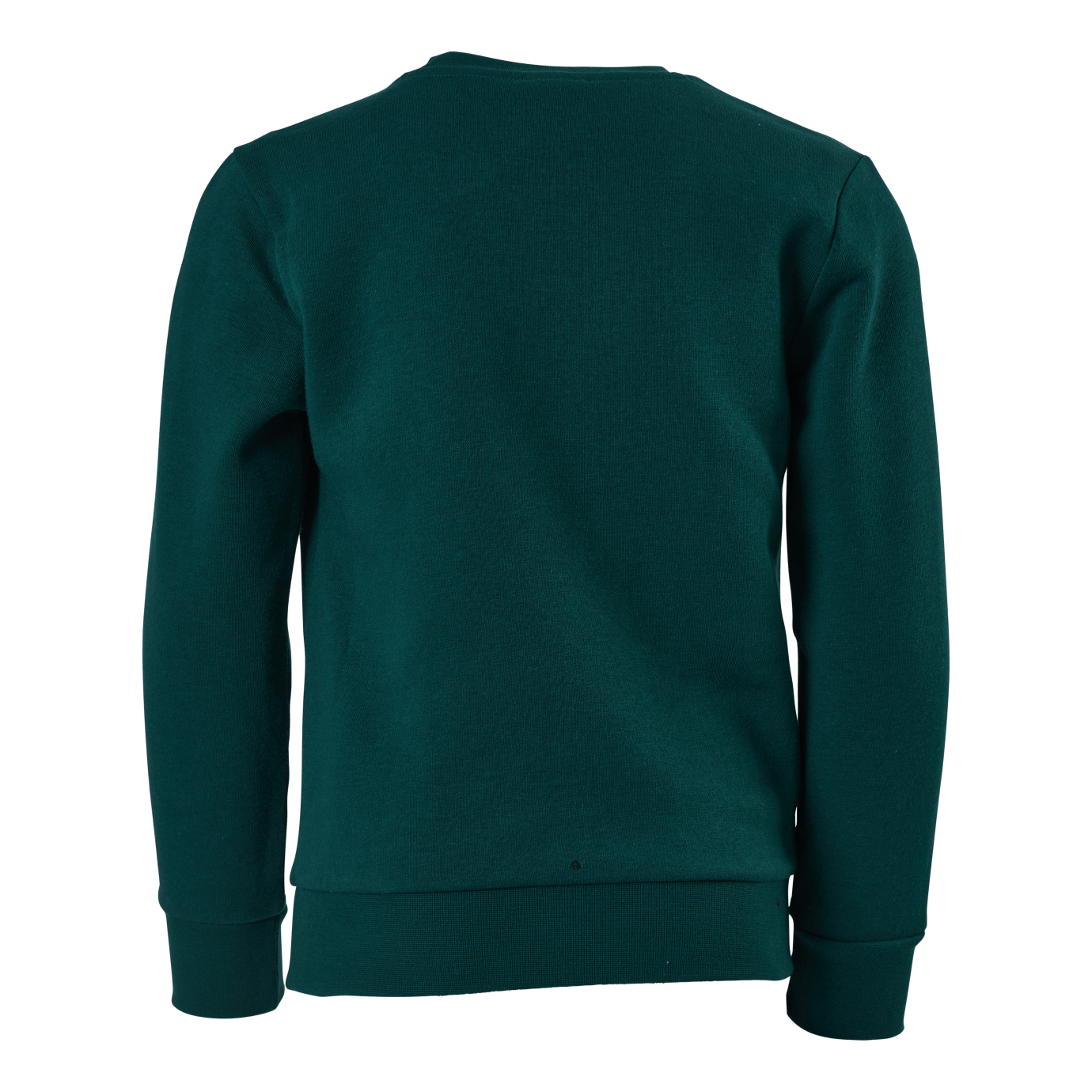 Champion Crewneck Sweatshirt Rain Forest - Image 3