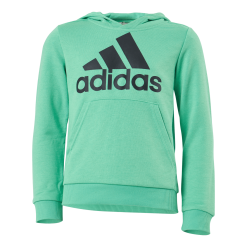 Adidas Boys Essentials Big Logo Hoodie Semi Screaming Green / Black