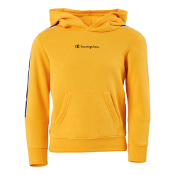 Champion Hooded Sweatshirt Ys113