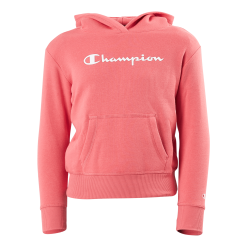 Champion Hooded Sweatshirt Ps171
