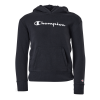 Champion Hooded Sweatshirt Kk001