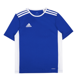 ADIDAS Entrada Jersey Bold Blue
